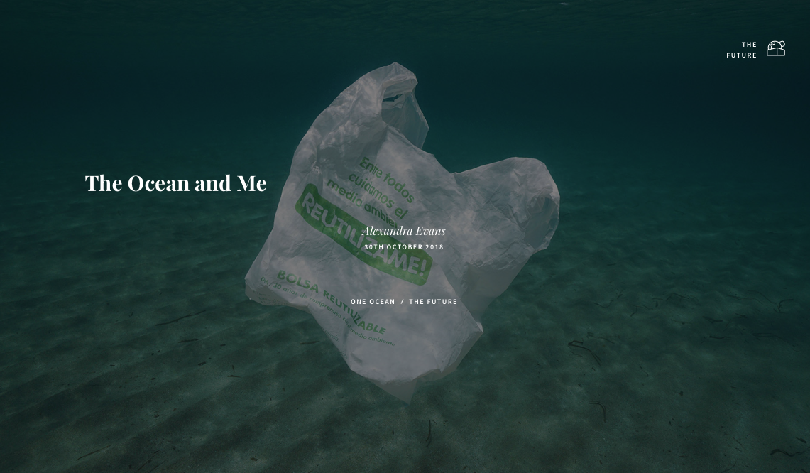 Roca Gallery | Ocean and Me